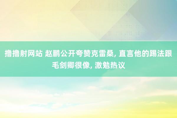 撸撸射网站 赵鹏公开夸赞克雷桑， 直言他的踢法跟毛剑卿很像， 激勉热议