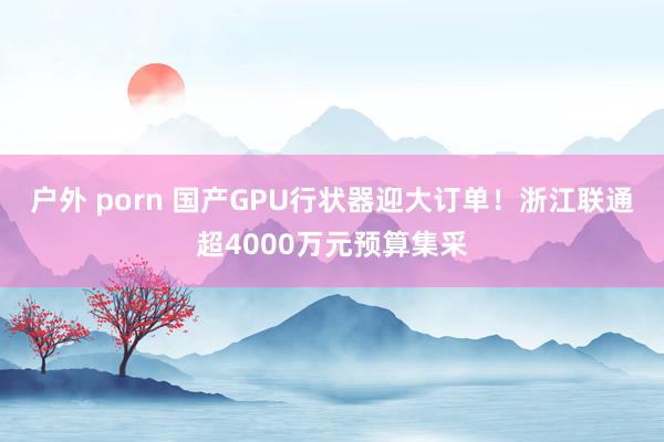 户外 porn 国产GPU行状器迎大订单！浙江联通超4000万元预算集采