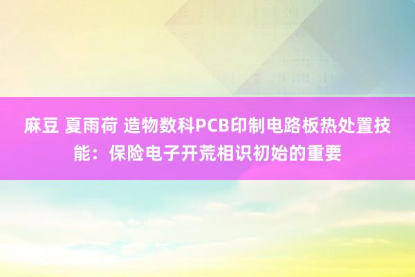 麻豆 夏雨荷 造物数科PCB印制电路板热处置技能：保险电子开荒相识初始的重要
