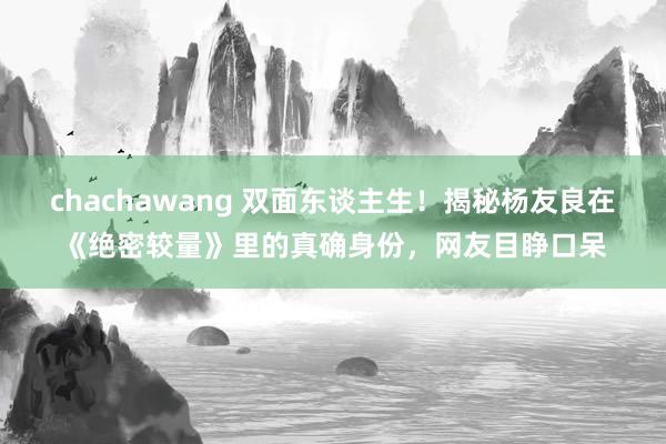 chachawang 双面东谈主生！揭秘杨友良在《绝密较量》里的真确身份，网友目睁口呆