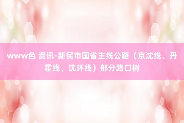 www色 资讯-新民市国省主线公路（京沈线、丹霍线、沈环线）部分路口树