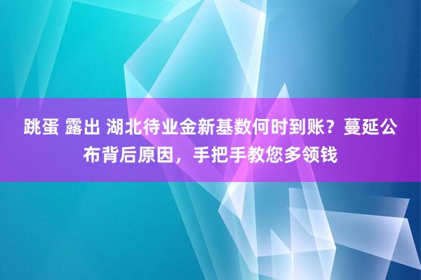 跳蛋 露出 湖北待业金新基数何时到账？蔓延公布背后原因，手把手教您多领钱