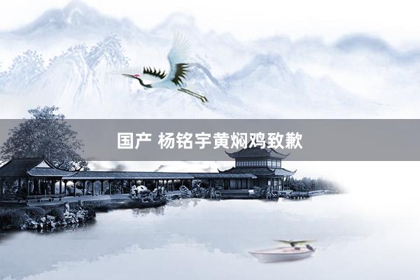 国产 杨铭宇黄焖鸡致歉