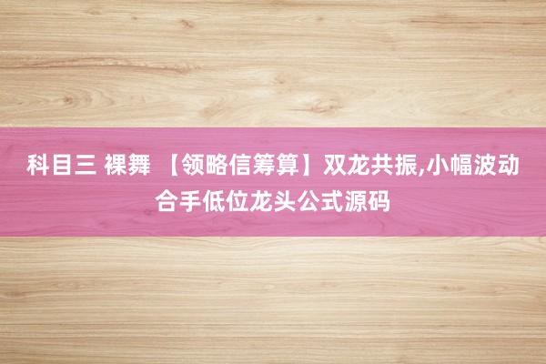 科目三 裸舞 【领略信筹算】双龙共振，小幅波动合手低位龙头公式源码