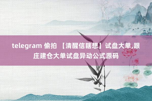 telegram 偷拍 【清醒信瞎想】试盘大单，跟庄建仓大单试盘异动公式源码