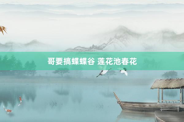 哥要搞蝶蝶谷 莲花池春花