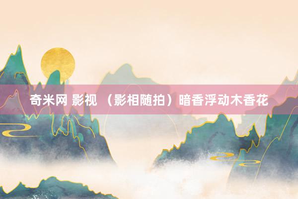 奇米网 影视 （影相随拍）暗香浮动木香花